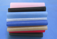 桦南涤纶（PET）无纺布是什么